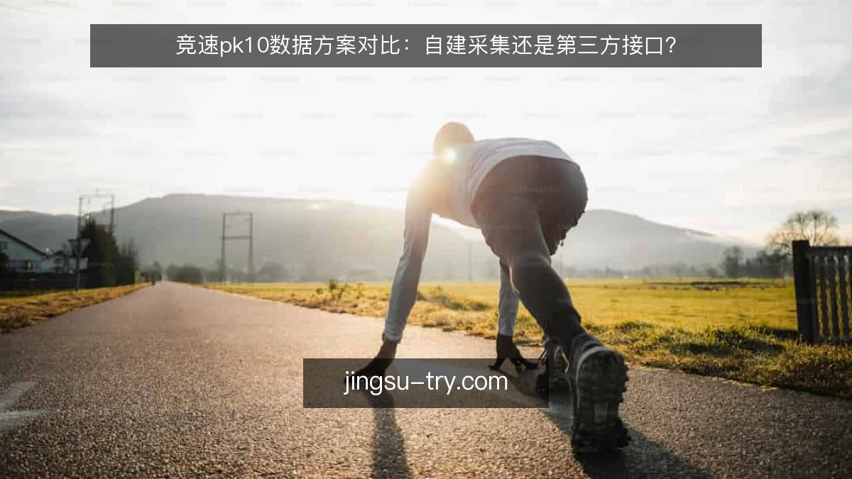 竞速pk10数据方案对比：自建采集还是第三方接口？