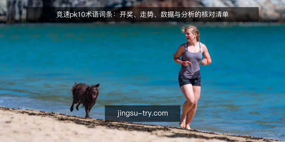 竞速pk10术语词条：开奖、走势、数据与分析的核对清单 — 为何现在审计你的术语理解 配图