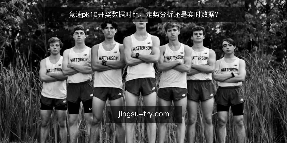竞速pk10开奖数据对比:走势分析还是实时数据? — 先看决策标准:你更依赖开奖数据还是走势分析? 配图