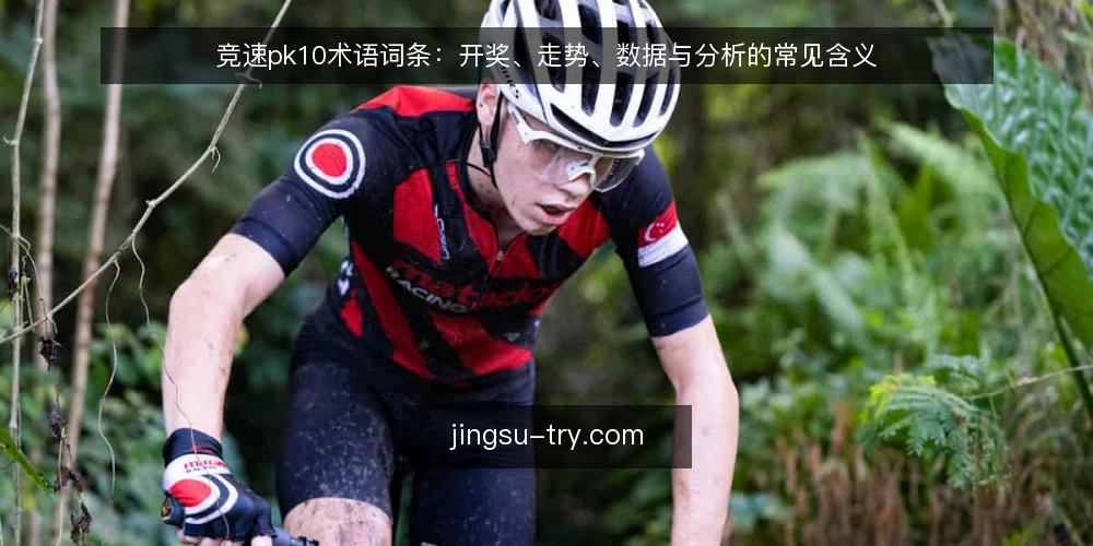 竞速pk10术语词条:开奖、走势、数据与分析的常见含义 — 竞速pk10是什么:核心术语界定 配图