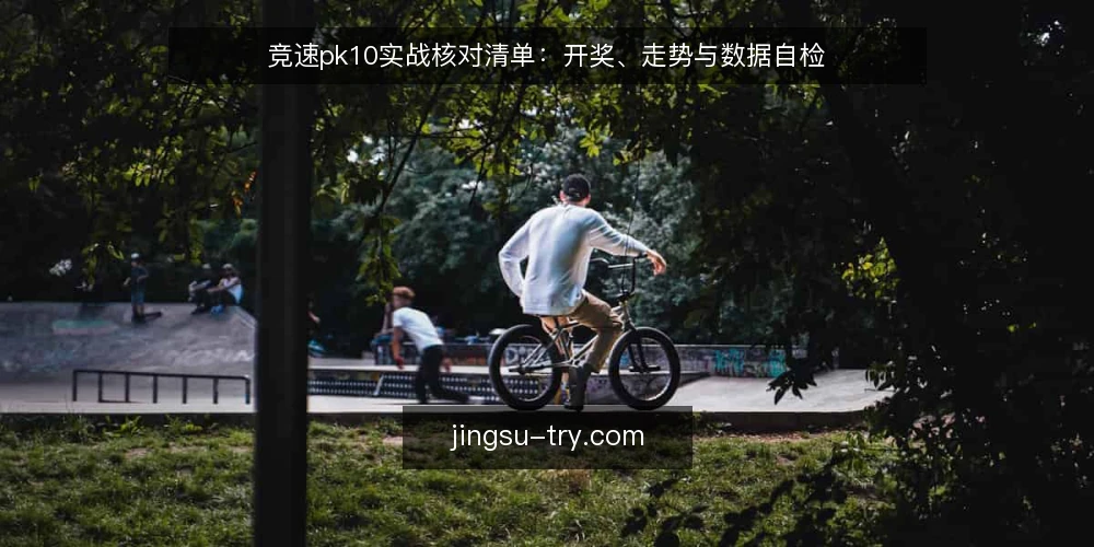 竞速pk10实战核对清单:开奖、走势与数据自检 — 为什么现在需要这份清单? 配图
